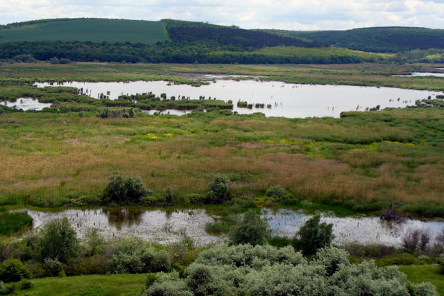 wetlands_01