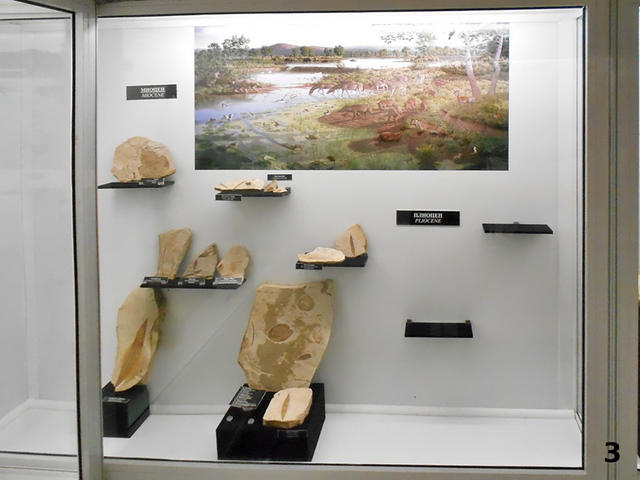 Museums_3