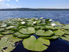 wetlands_03