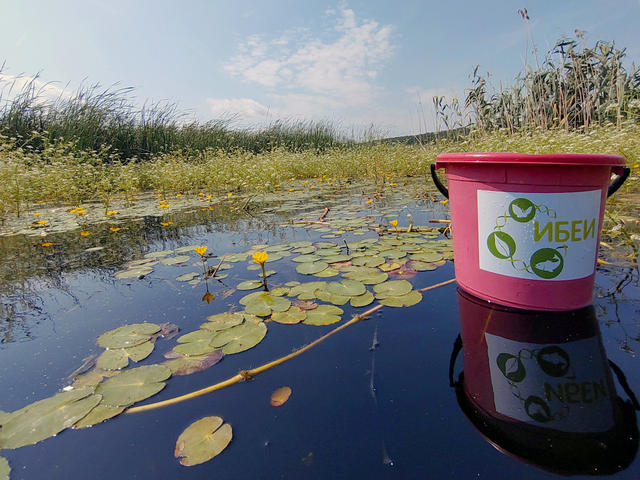 wetlands_04