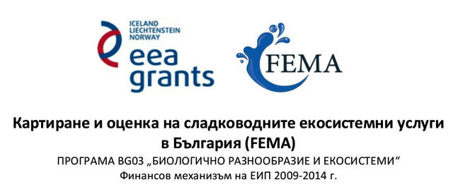 FEMA_pres