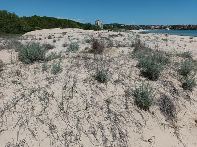 Fig_2_dunes