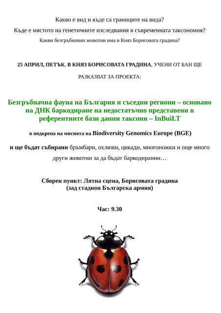 BioBlits