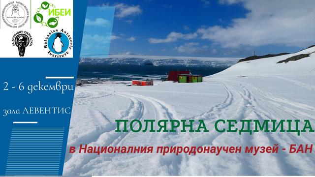 polar_week
