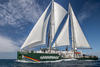 RW_greenpeace