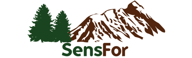 stsm_logo
