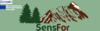 sensfor logo